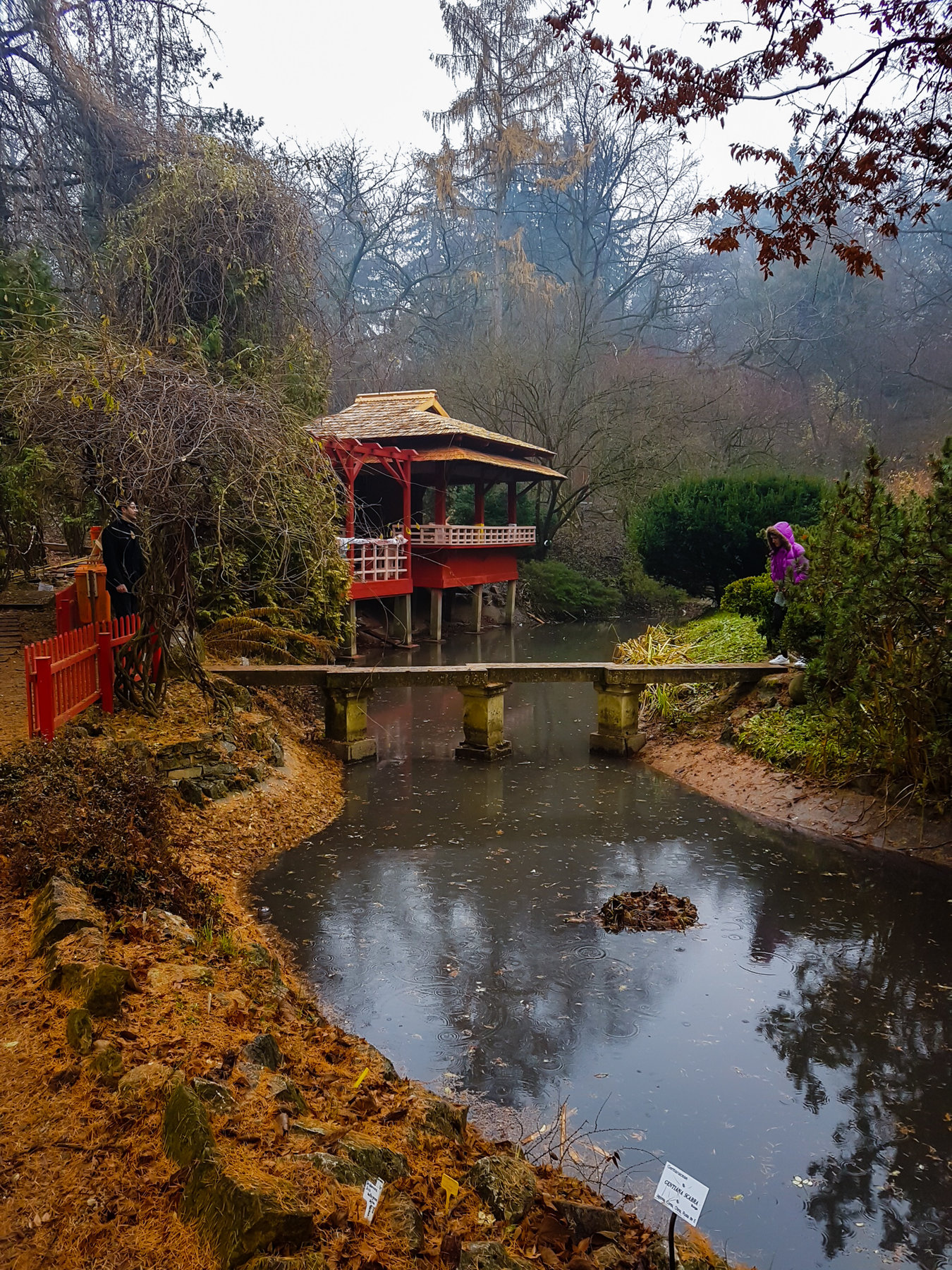 gradina botanica cluj