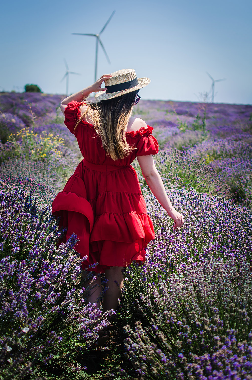 bulgaria lavender fields