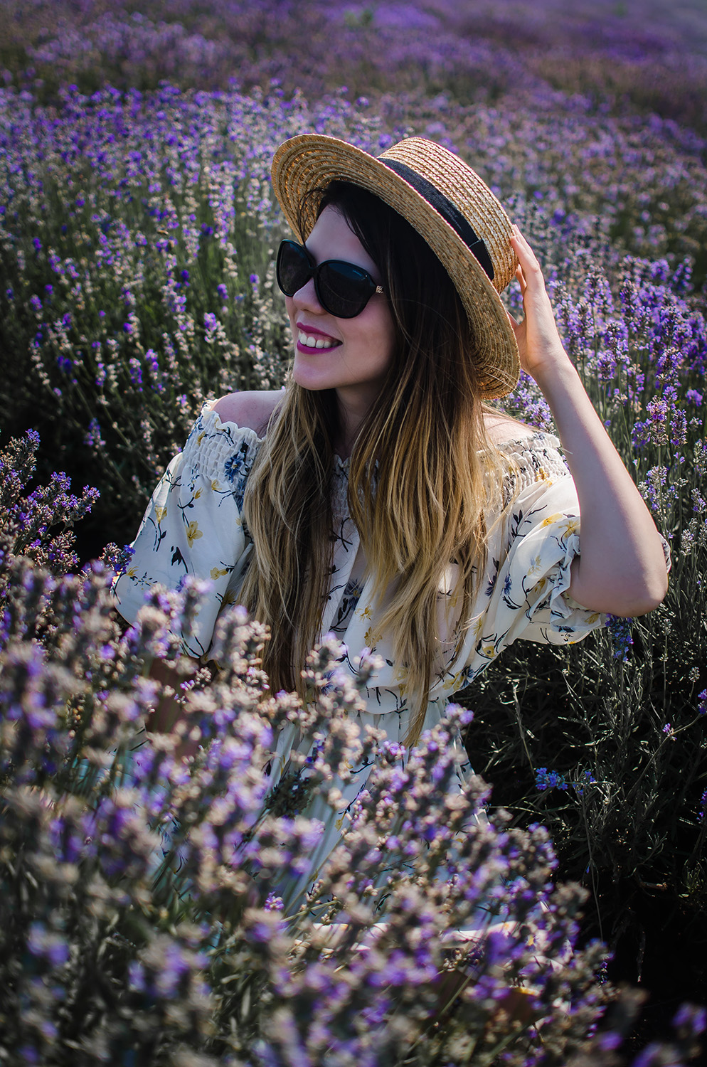 lavender photo shoot