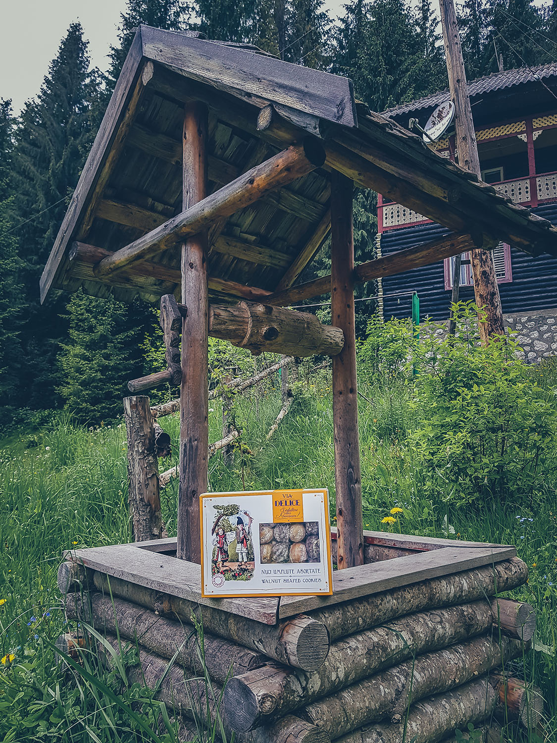 nuci umplute asortate via delice