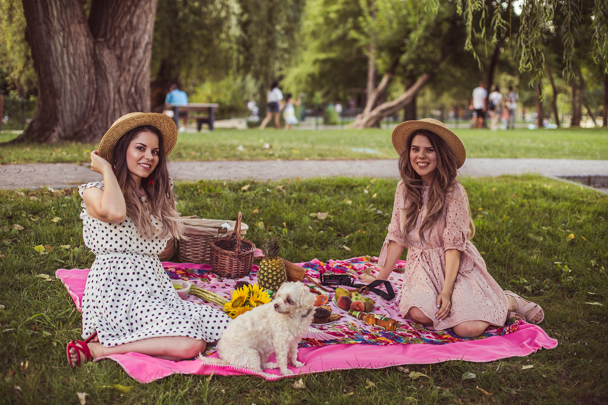 Nothing’s better than a picnic with friends
