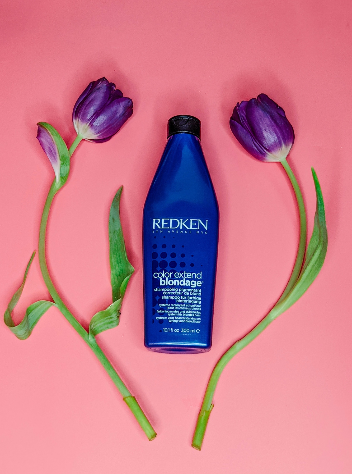 Redken Color Extend Blondage