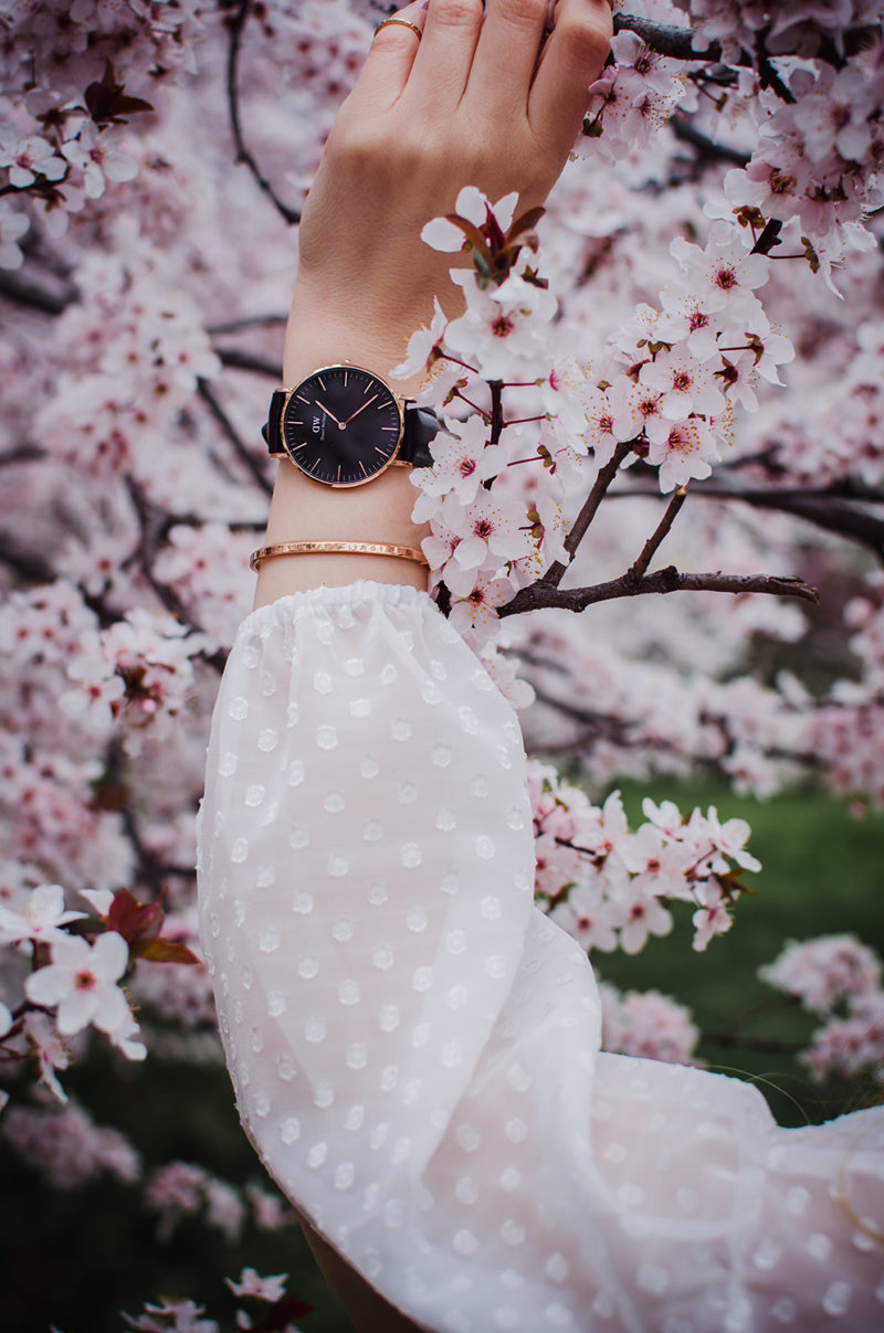 DW classic black rose gold
