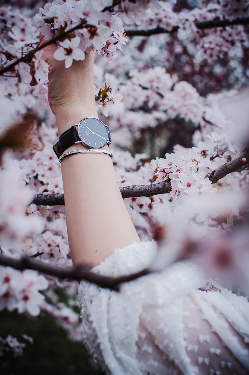 daniel wellington classic black watch silver