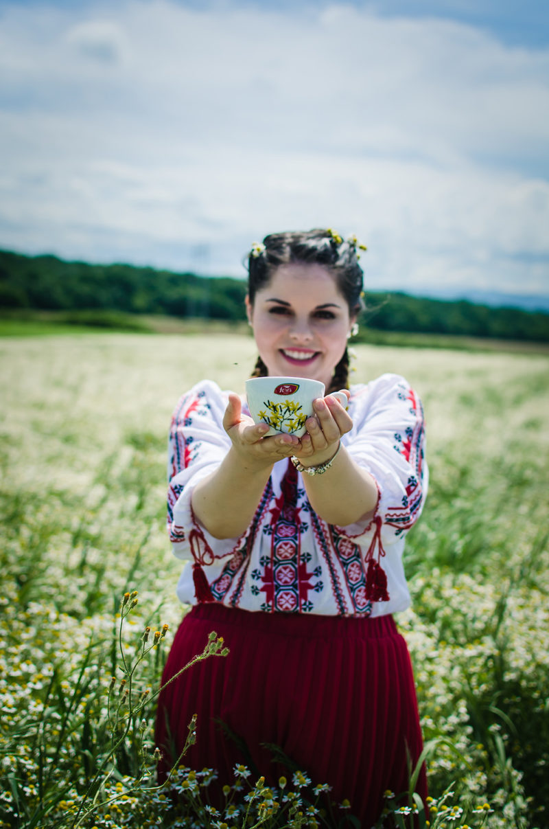 festivalul musetelului fares