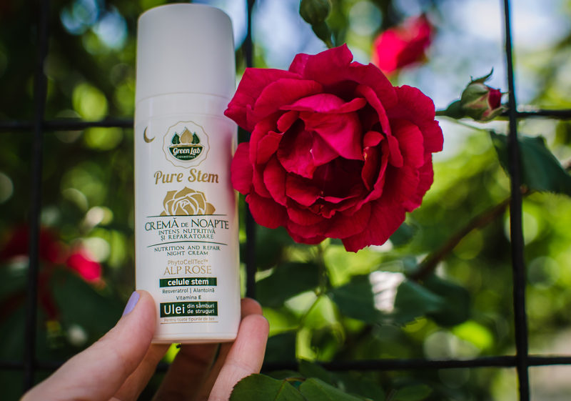 crema noapte pure stem