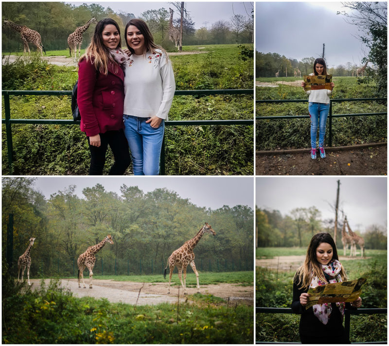 tierpark berlin zoo anotherside of me blo