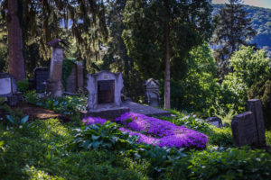 cimitir biserica din deal
