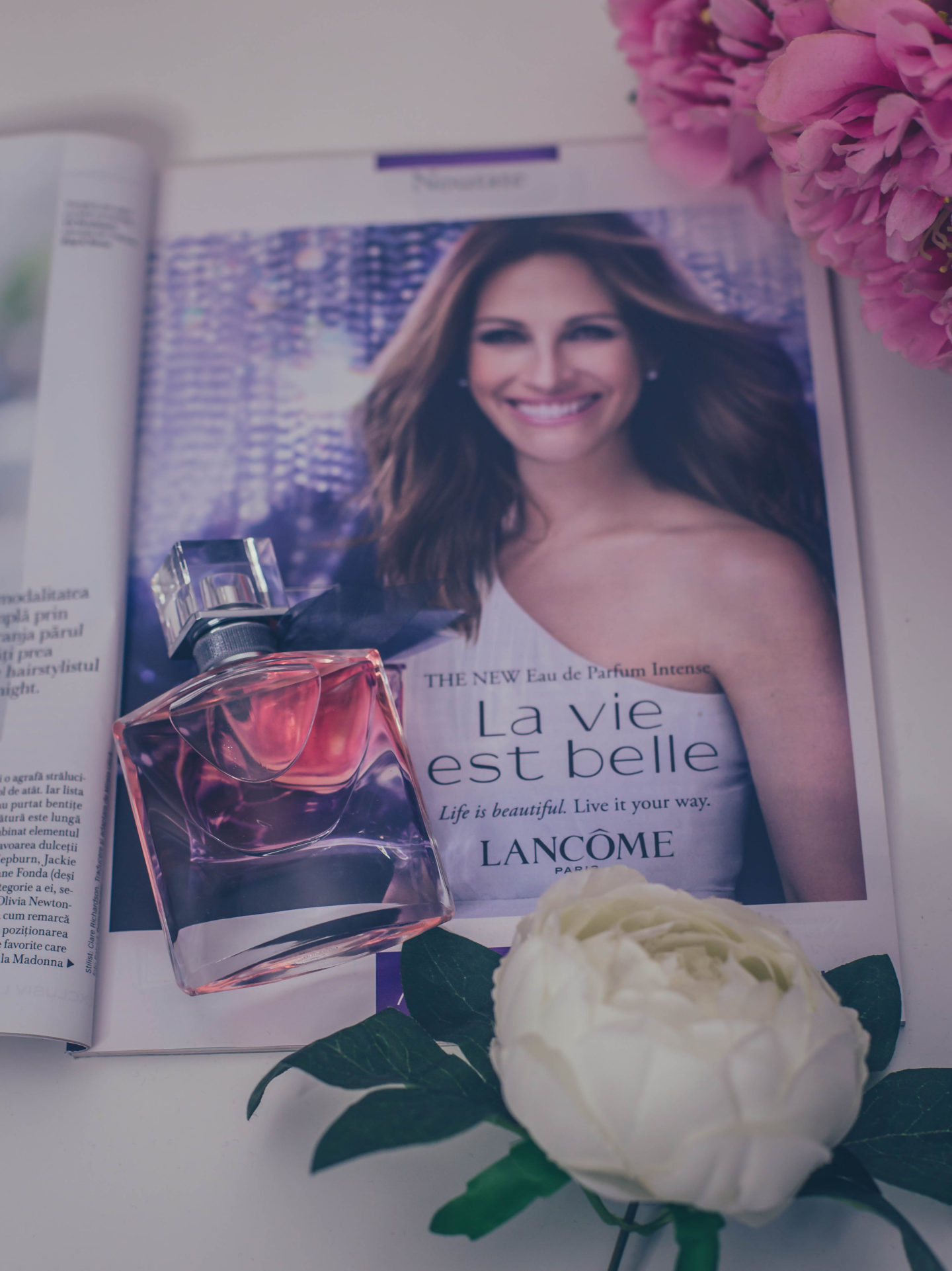 Black Friday Shopping