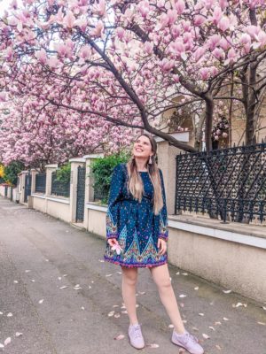 cele mai frumoase magnolii din bucuresti