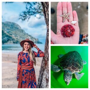 iztuzu beach caretta caretta